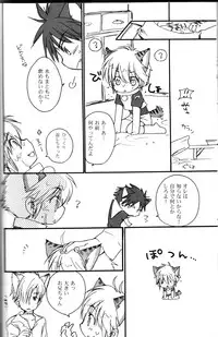 Peach Drop- Arco Iris