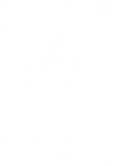 Nyan Nyan Orange Tsuushin