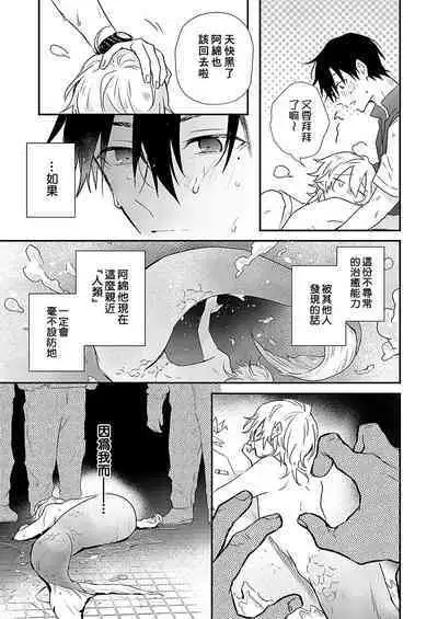 Shiokaze Mellow | 海风轻柔