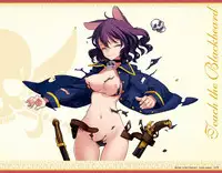 Eiyuu＊Senki GOLD Visual Fanbook