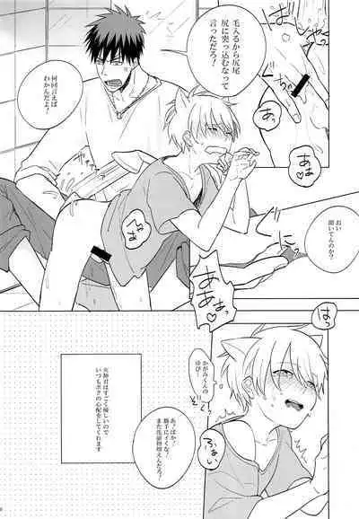 Itsumo Yasashii Kimi ga Suki