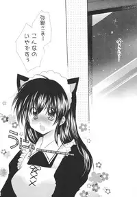 (C68) [Sakurakan (Seriou Sakura)] Tobikiri no Himitsu 3 <<Kanketsuhen>> (Inuyasha)