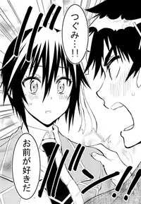 (C89) [Project Harakiri (Kaishaku)] Nisenisekoi 7 (Nisekoi)