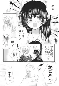 (C68) [Sakurakan (Seriou Sakura)] Tobikiri no Himitsu 3 <<Kanketsuhen>> (Inuyasha)
